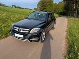 Mercedes-Benz GLK 250 BlueTEC 4MATIC - - gebrauchte Mercedes-Benz GLK 250 aus dem Jahr 2015