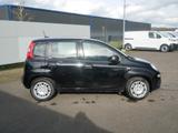 Fiat Pandina PANDA ICON HYBRID 1.0 GSE 65PS PDC RADIO - schwarze Fiat New Panda