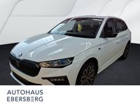 Skoda Scala - Vorschau Bild 1