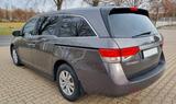 Honda Odyssey EX-L, 8 Echtledersitze, Schiebedach - Honda Odyssey Benziner Gebrauchtwagen