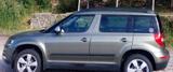 Skoda Yeti 1.4 TSI DSG Ambition Ambition - Skoda Yeti: Grün