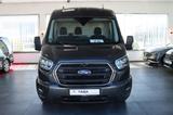 Ford Transit 4 Sarg Bestattungswagen / Leichenwagen - Ford: Bestattungswagen
