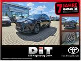 Lexus NX 350h 4x4 Executive Inter.-Paket + Techno-Pake - schwarze Lexus NX 350h