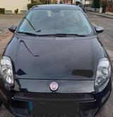 Fiat Punto 1.2 8V YOUNG  - Fiat Punto Gebrauchtwagen in Stuttgart