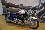 Triumph Thunderbird - Angebote