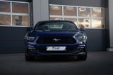 Ford Mustang 2,3 ECO-Boost - Ford Mustang: 3.3