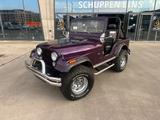 Jeep CJ5 V8 5 L - Jeep Gebrauchtwagen von 1978