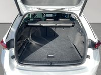Skoda Octavia - Vorschau Bild 9