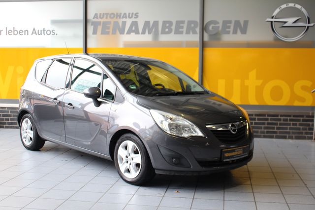 Opel Meriva B Design Edition Allwetter AHK PDC