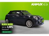 MINI Cooper Cabrio Aut.Chili+LED+LEDER+KAMERA+NAVI - MINI Cooper Cabrio: Automatik