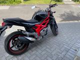 Suzuki Gladius - SUZUKI GLADIUS