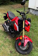 Honda MSX 125 Grom - HONDA MSX