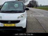 Smart ForTwo coupe softtouch pure MHD*PANORAMADACH* - Smart ForTwo Pure mit Benzin-Antrieb