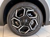 BYD DOLPHIN 60kWh Design FWD *GEWERBE* - BYD DOLPHIN New cars