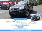 Fiat Panda Hybrid - Klima, aus 1. Hand, Garantie! - Fiat Panda mit Hybrid-Antrieb