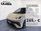 BYD Dolphin Surf Comfort Leder Navi Sitzheizung DAB+ - BYD Gebrauchtwagen in Düsseldorf