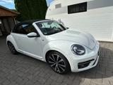 Volkswagen Beetle Cabrio Allstar BMT 1.4 TSI mit AHK - Volkswagen New Beetle: Cabrio