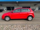 Volkswagen VW Polo 9N Comfortline  Rentnerfahrzeug - Volkswagen Polo aus 2003: 9n