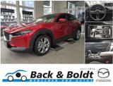 Mazda Cx-30 Selection 2.0i MATRIX+LEDER+KAMERA+SITZHZG - Mazda CX-30 in Hamburg