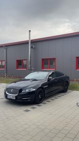 Jaguar XJ 3.0D luxury premium - Jaguar XJ aus 2010