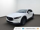 Mazda CX-30 2.5L e-SKYACTIV G Prime-Line - Mazda CX-30 Prime-Line mit Hybrid-Antrieb (Benzin/Elektro)
