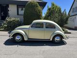 Volkswagen Käfer Ovali 1956