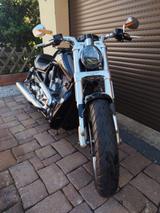 Harley-Davidson V- Rod VRSCF Muscle  - Offers