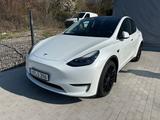 Tesla Model Y Performance Dual AWD Enhaced Autopilot - Tesla Model Y in Mannheim