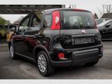 Fiat Panda Hybrid 1.0 PDC Klima dig.Kombiinstr. Temp. - Fiat Panda in Hamm