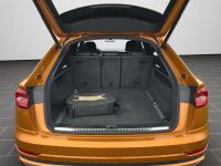 Audi Q8 - Vorschau Bild 16