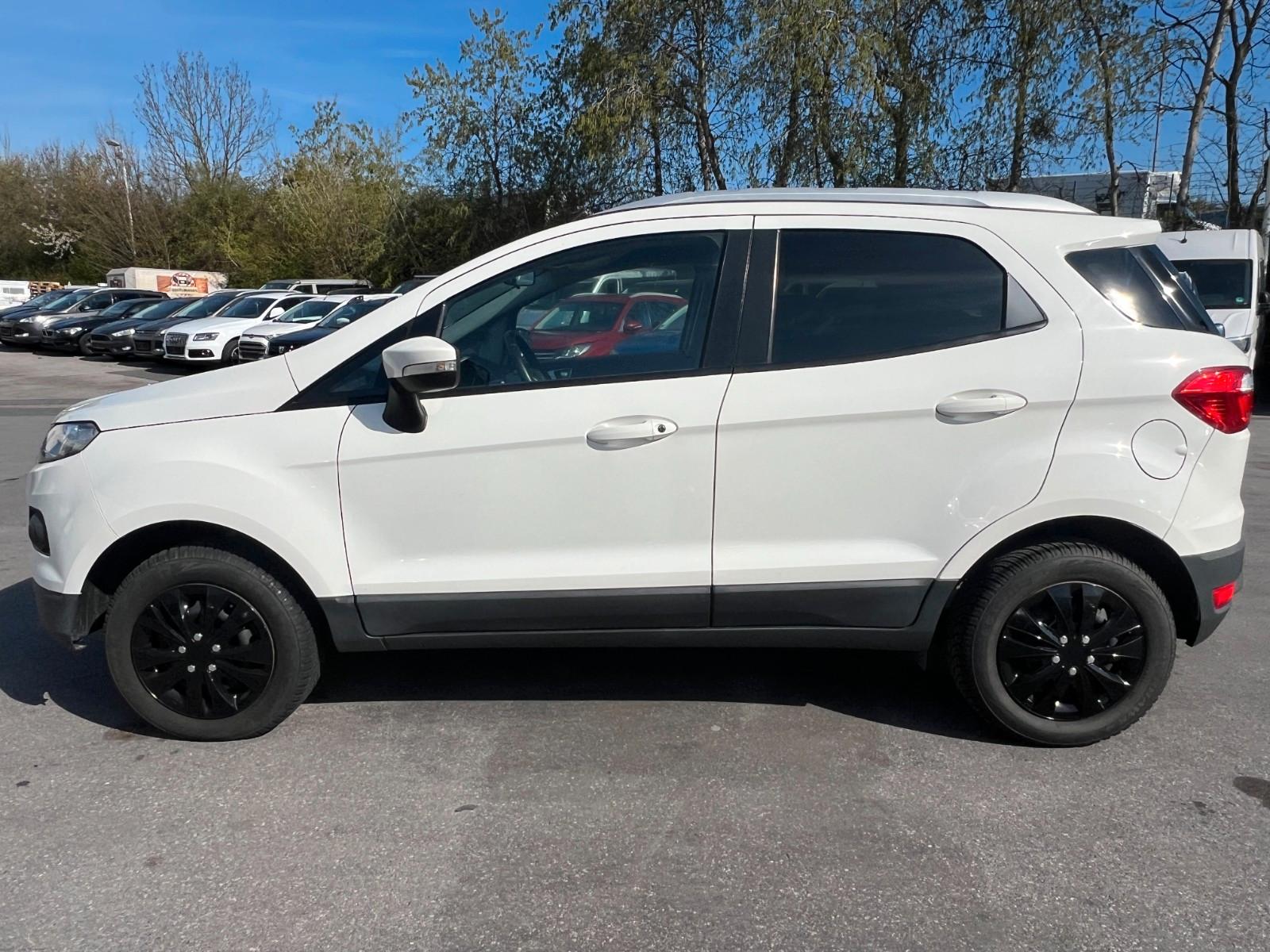 Ford EcoSport Trend 1.0 EcoBoost Motorproblem!