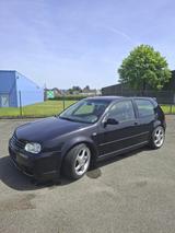 Volkswagen Golf 4 GTI, Käfig, Schalensitze usw - Volkswagen Golf aus 2001: GTI