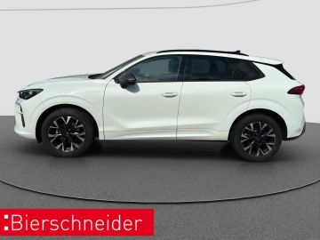 Cupra Terramar - 4