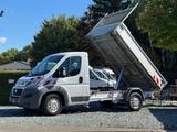 Fiat Ducato 3-Seiten Kipper, 3 Sitze, AC - Fiat Doppelkabine Ducato
