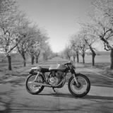 Yamaha XS 400 Cafe Racer - YAMAHA XS 400