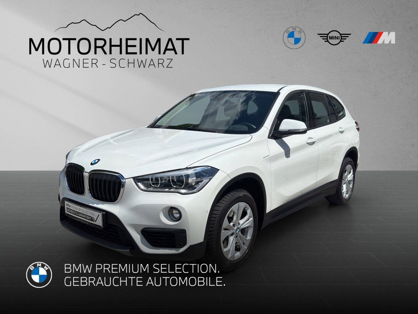 BMW X1 xDrive20i Aut. RFK LED ACC HUD