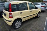 Fiat Panda 1.2 8V Natural Power Erdgas 1. Hand Klima - Fiat Panda: Natural Power