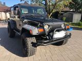 Jeep Wrangler TJ 4.0L  alles eingetragen ... - Jeep Wrangler: Tj
