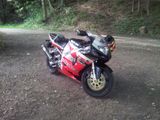 Suzuki GSX-R 750 - SUZUKI CHEMNITZ