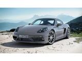 Porsche Cayman 718 Style Edition Rückfahrkamera Sport - Porsche Cayman in München