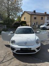 Volkswagen New Beetle - Volkswagen New Beetle mit Benzin-Antrieb: Limousine