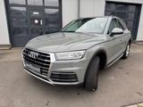Audi Q5 40 TDI quattro design Vollleder - Audi Q5 design mit Diesel-Antrieb