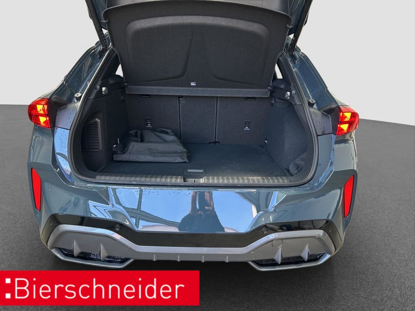 Cupra Terramar - Bild 21