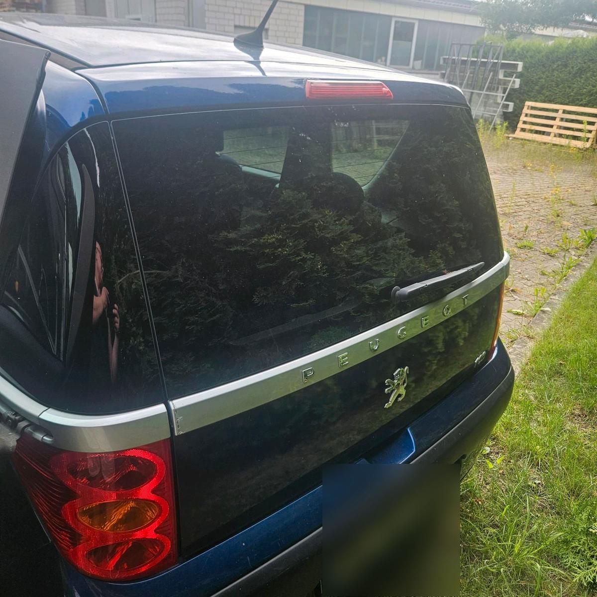 Peugeot 1007 2006 — photo 9