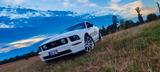 Ford Mustang - Ford Mustang aus 2006