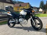 Honda Varadero XL125V, gepflegt und zuverlässig - HONDA XL 125