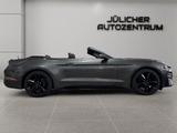 Ford Mustang 2.3 Cabrio Aut., Inspektion Neu,Garantie - Ford Mustang: Cabrio