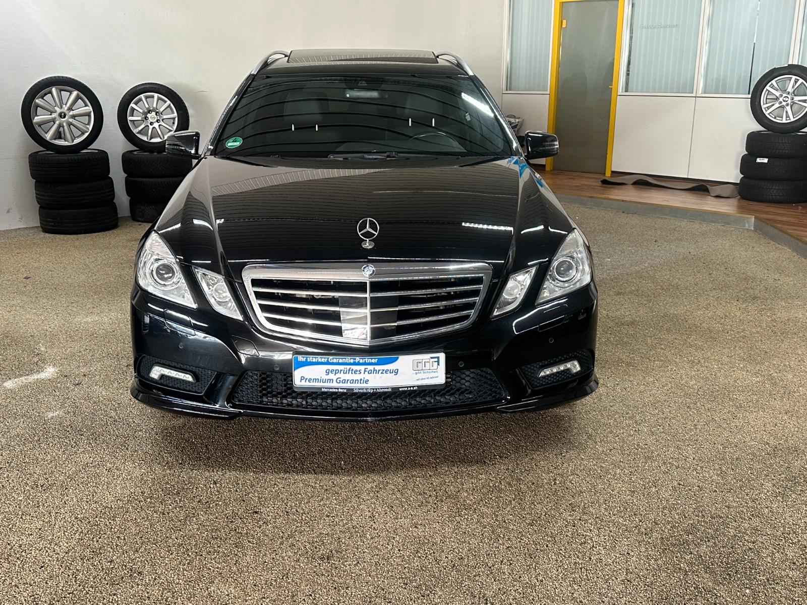 Mercedes-Benz E350 2010 — rear view