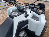 Triton Outback 300 - TRITON QUAD