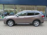 Subaru Forester 2.0ie Lineartronic Platinum AHK El. Pan - Subaru Forester mit Hybrid-Antrieb: mit Navigationssystem